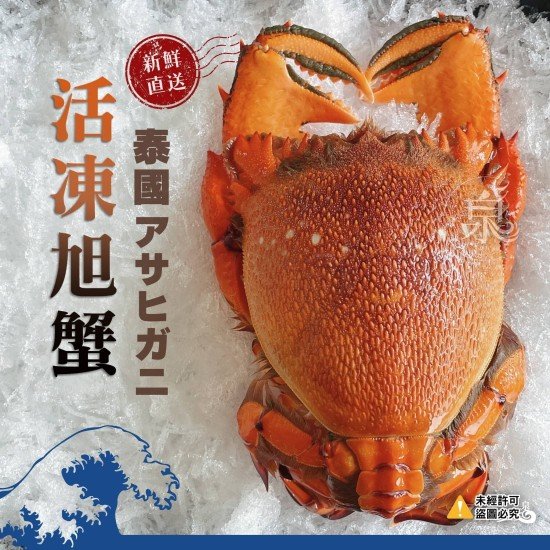 泰國活凍旭蟹